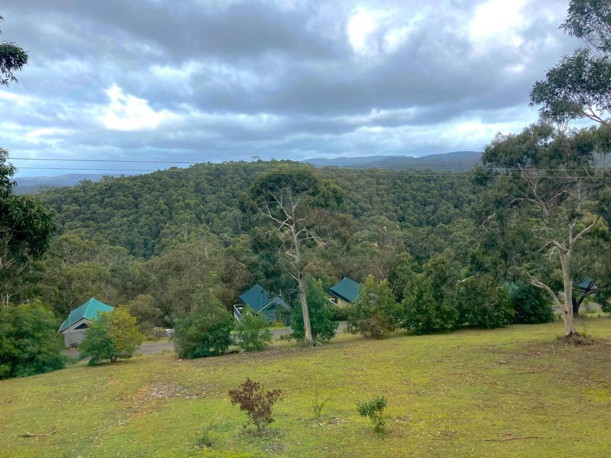 Lorne Bush House Cottages & Eco Retreats Extérieur photo